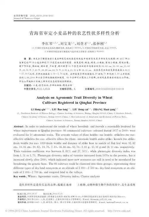 青海省审定小麦品种的农艺性状多样性分析