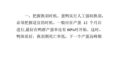 蛋鸭强制换羽技术