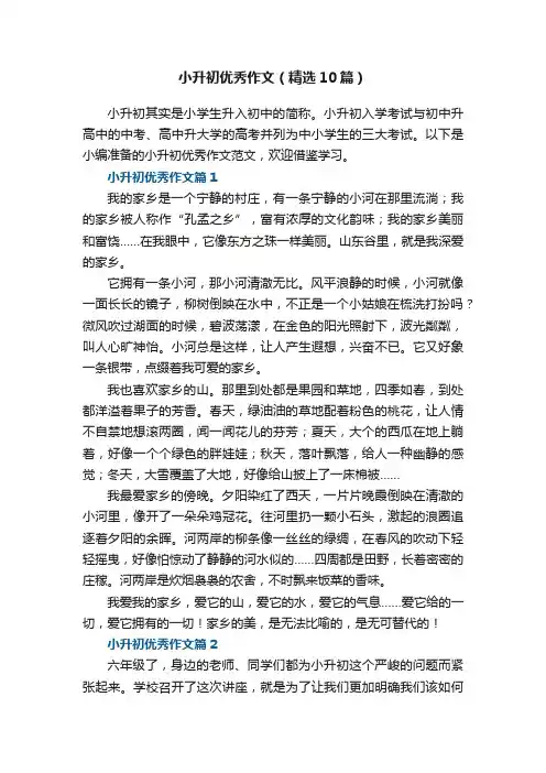 小升初优秀作文范文（精选10篇）