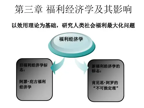 福利经济学及其影响