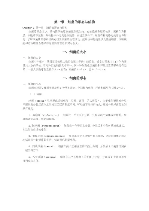 医学微生物细菌的形态与结构