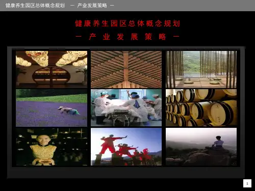 健康产业园规划报告【完整版】