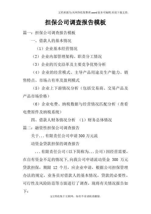 担保公司调查报告模板(2)