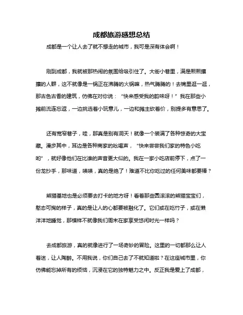 成都旅游感想总结