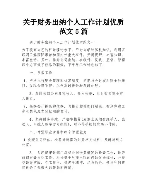 关于财务出纳个人工作计划优质范文5篇
