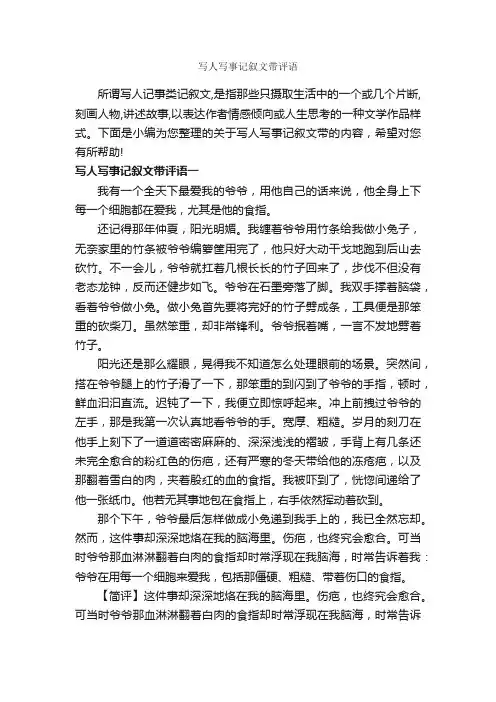 写人写事记叙文带评语_作文600字_作文评语_