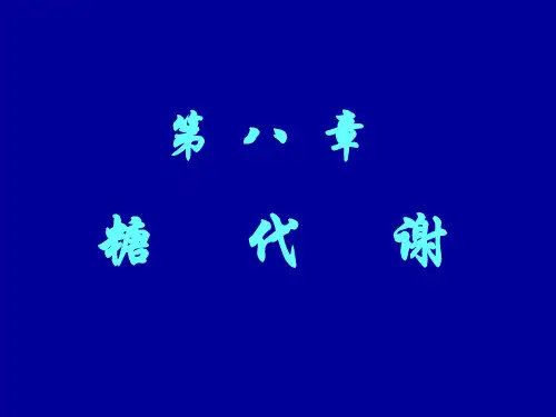 糖代谢
