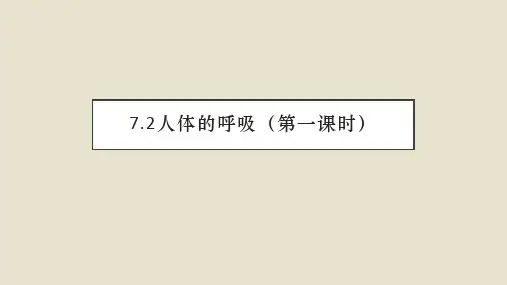 7.2人体的呼吸(第一课时)课件(共25张ppt+内嵌视频1个)苏科版生物七年级上册