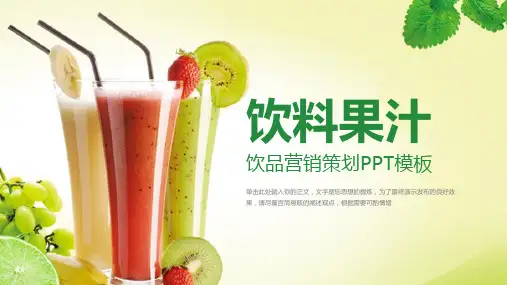 简约饮料果汁饮品营销策划PPT模板