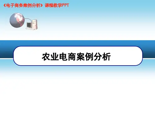 农业电商案例分析.pptx