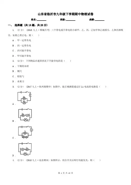 山东省临沂市九年级下学期期中物理试卷