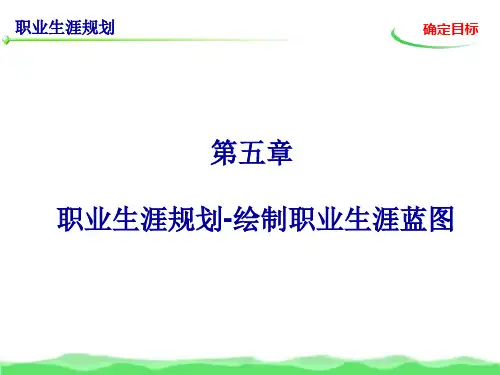 职业生涯规划(第五章_确定目标)