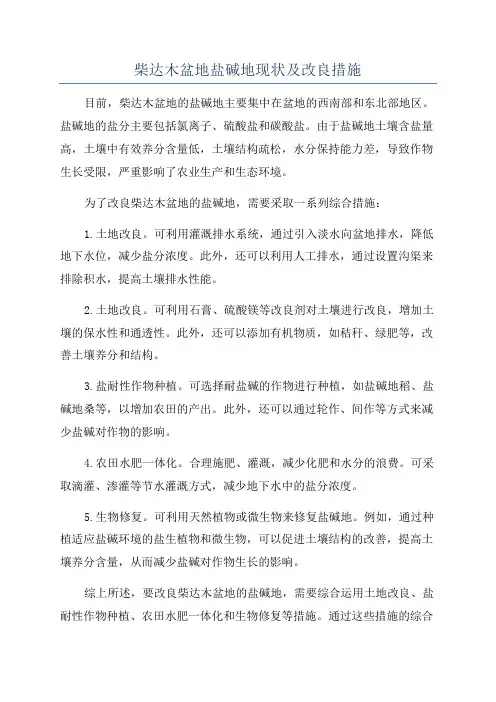 柴达木盆地盐碱地现状及改良措施