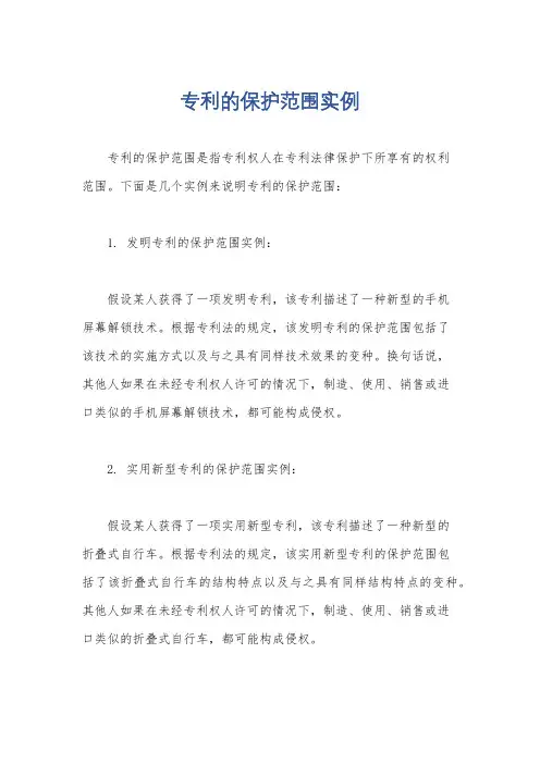 专利的保护范围实例