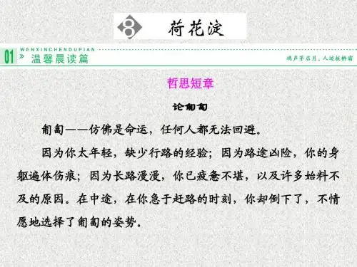 【鲁人版】高中语文必修一：第8课《荷花淀》ppt课件(3)