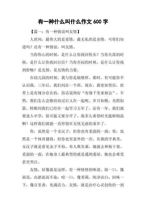 有一种什么叫什么作文600字