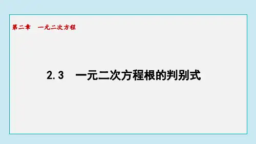 2.3 一元二次方程根的判别式(课件)2024-2025学年湘教版数学九年级上册