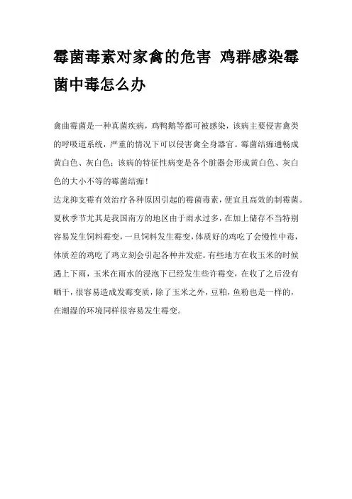 霉菌毒素对家禽的危害 鸡群感染霉菌中毒怎么办