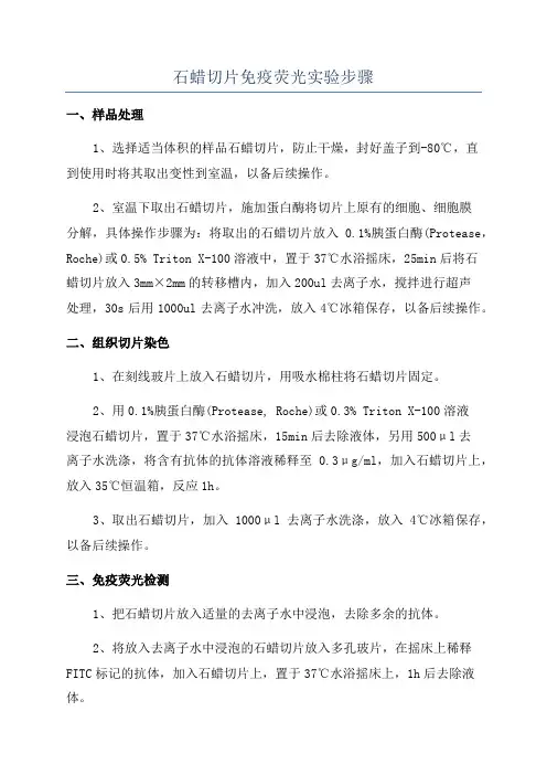 石蜡切片免疫荧光实验步骤