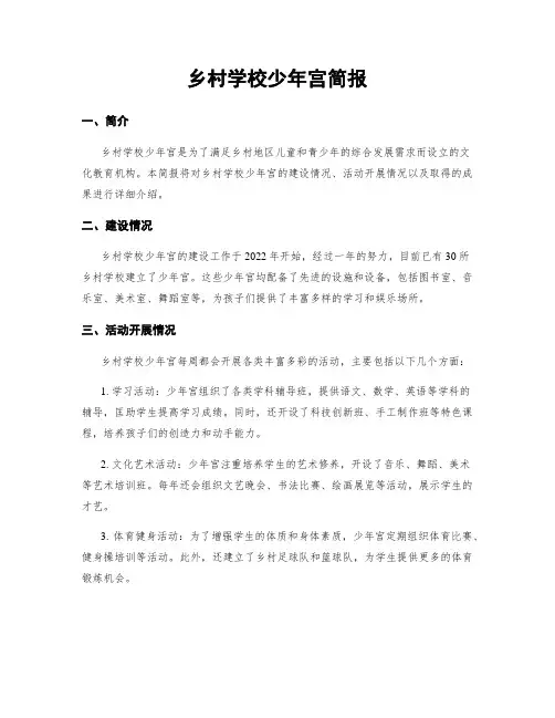 乡村学校少年宫简报