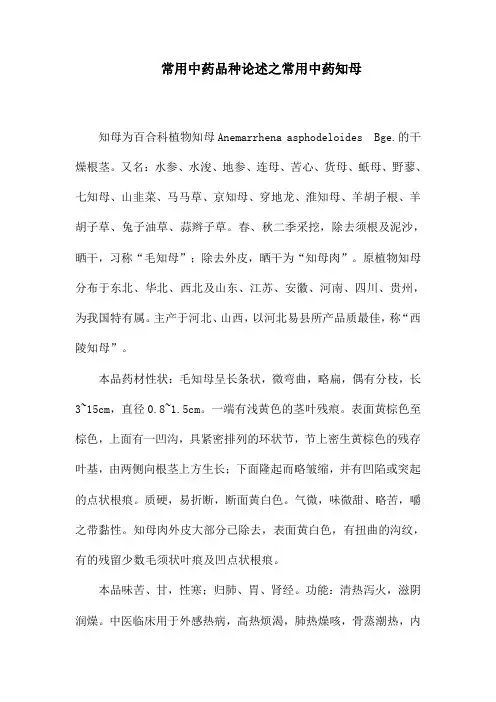 常用中药品种论述之常用中药知母