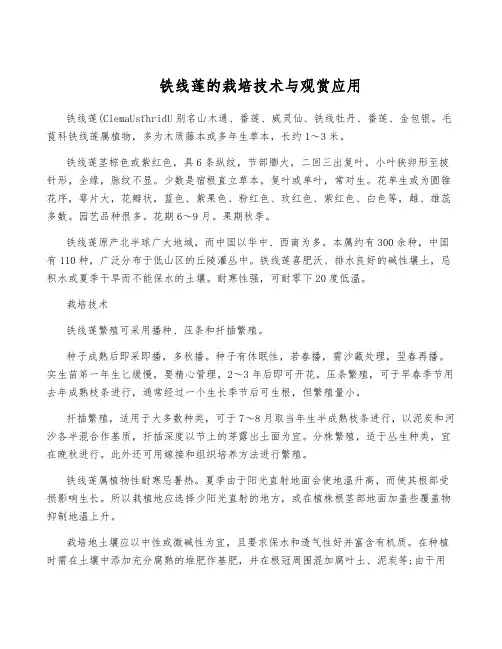铁线莲的栽培技术与观赏应用