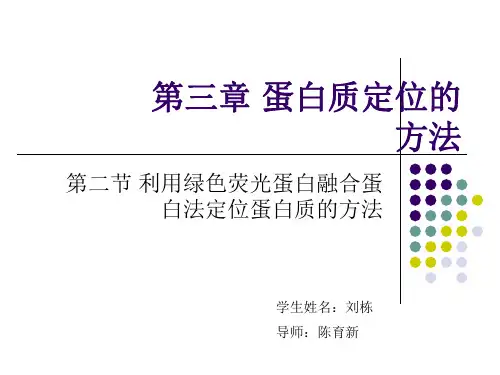 GFP融合蛋白进行蛋白质的亚细胞定位解析