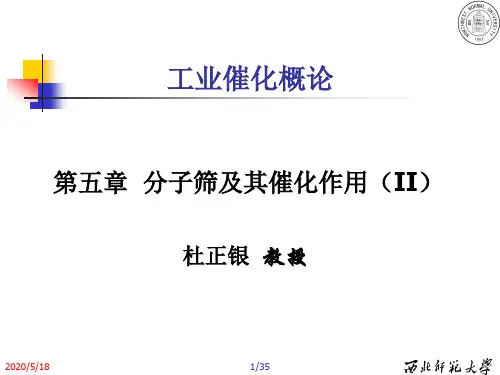 5-分子筛及其催化作用02解析