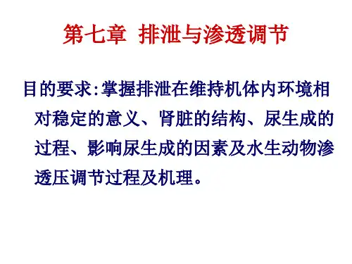 鱼类生理学课件第七章 排泄与渗透调节