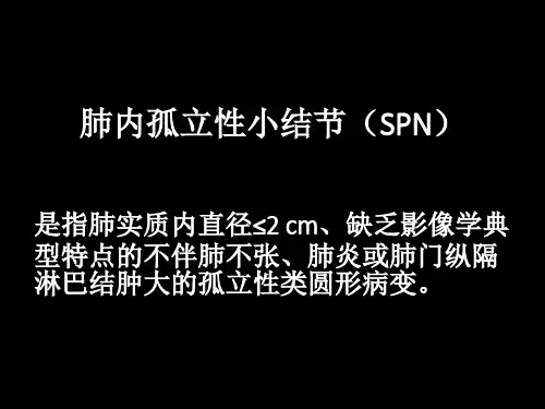 肺内孤立性小结节的ct诊断探析