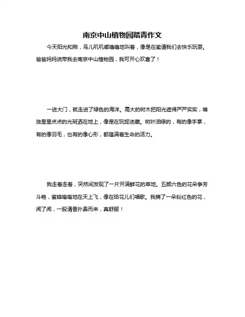 南京中山植物园踏青作文
