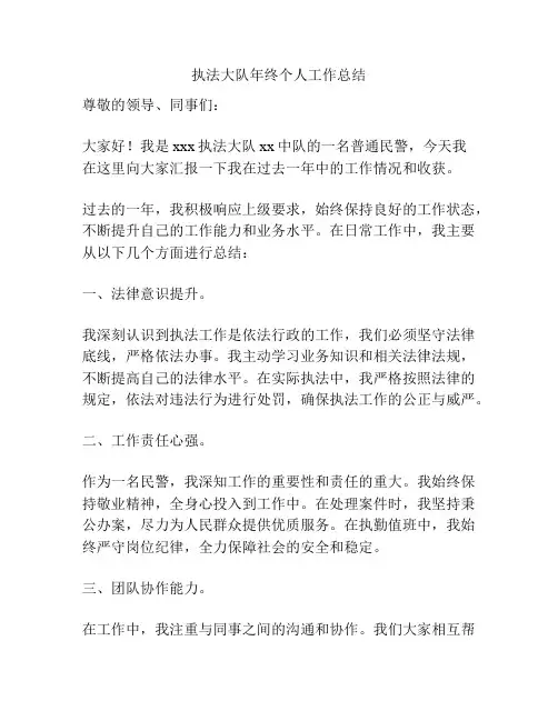 执法大队年终个人工作总结