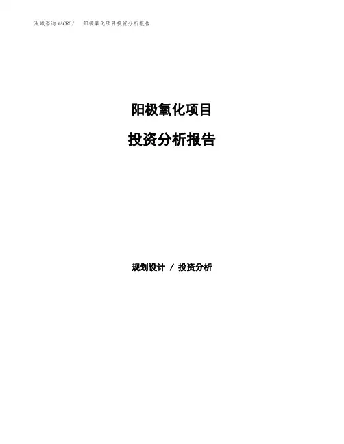 阳极氧化项目投资分析报告