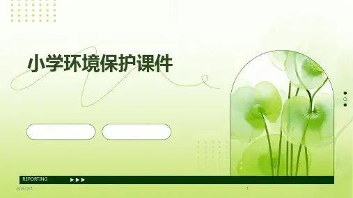 2024年小学环境保护课件