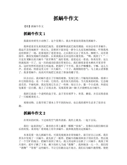 抓蜗牛作文