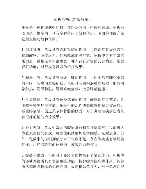 龟板的药用功效与作用
