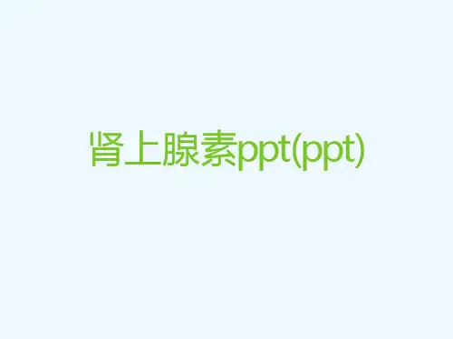 肾上腺素ppt(ppt)