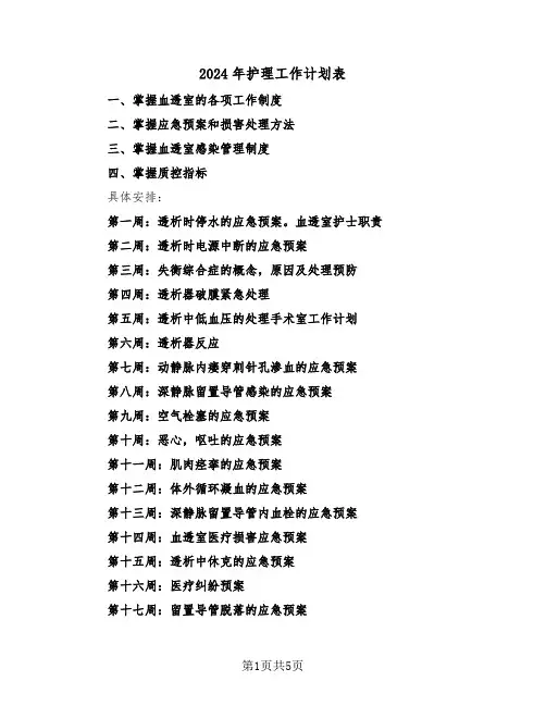 2024年护理工作计划表(2篇)