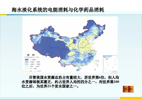 海水淡化系统的电能消耗与化学药品消耗