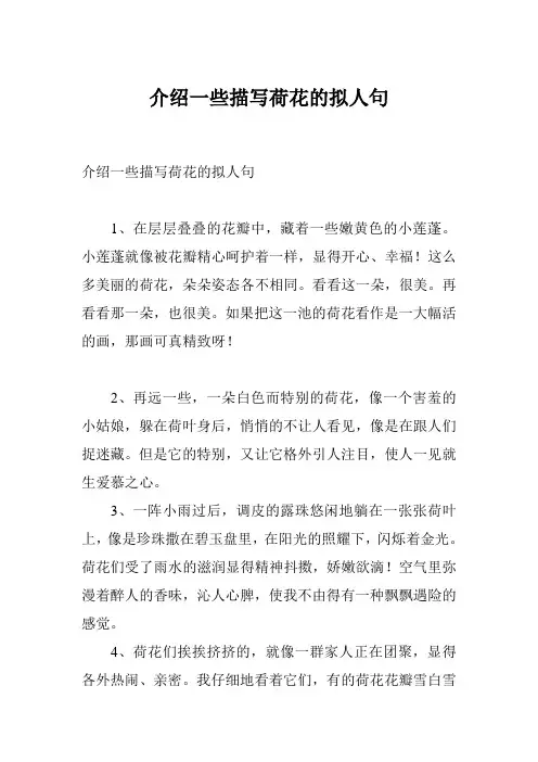 介绍一些描写荷花的拟人句