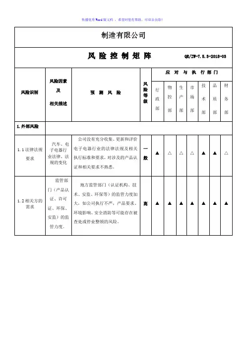 风险控制矩阵Word版