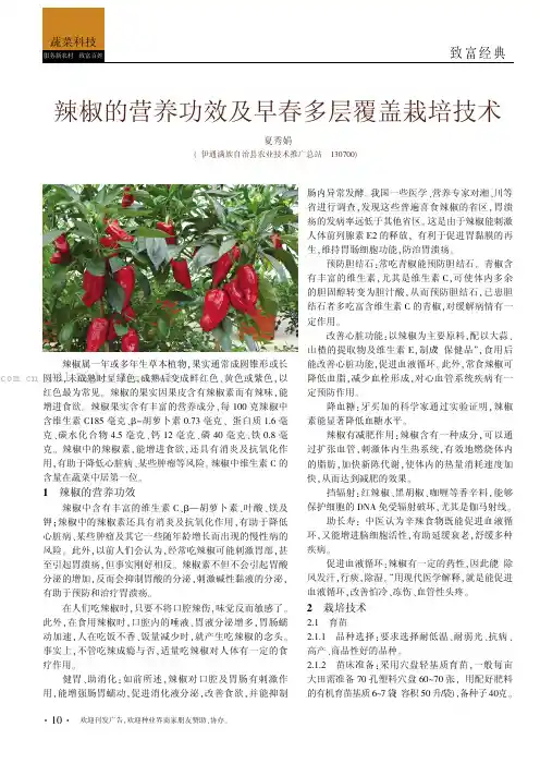 辣椒的营养功效及早春多层覆盖栽培技术