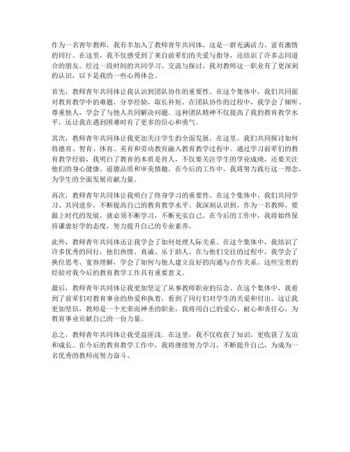 教师青年共同体心得体会