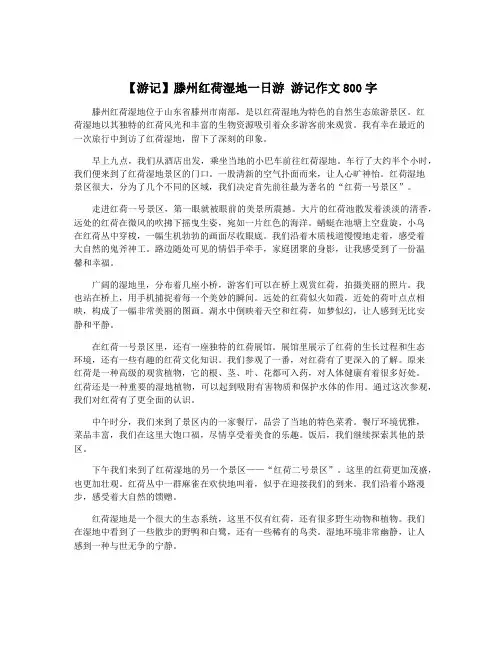 【游记】滕州红荷湿地一日游 游记作文800字