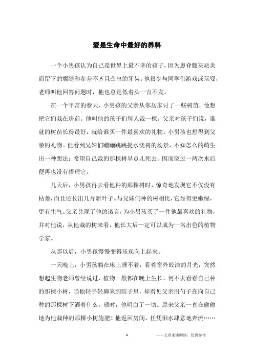 爱是生命中最好的养料_家庭教育