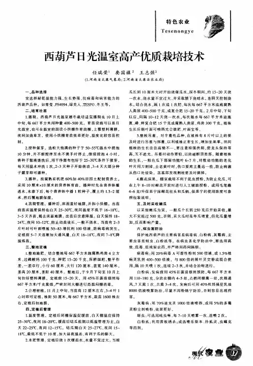 西葫芦日光温室高产优质栽培技术