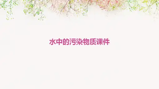 水中的污染物质课件