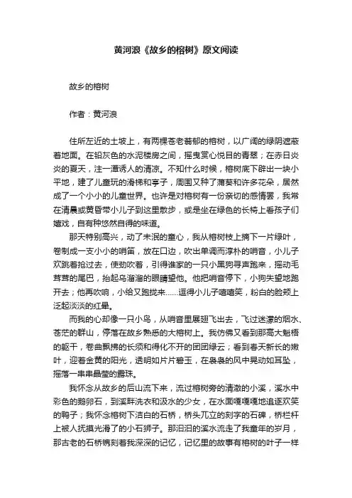 黄河浪《故乡的榕树》原文阅读