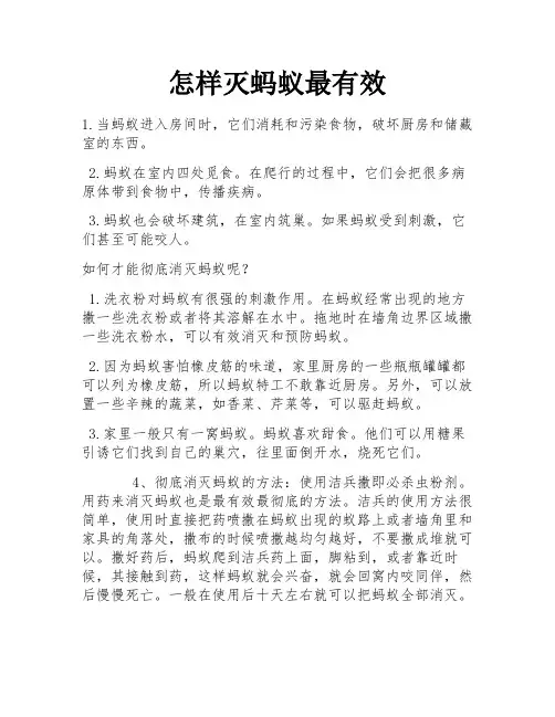 怎样灭蚂蚁最有效