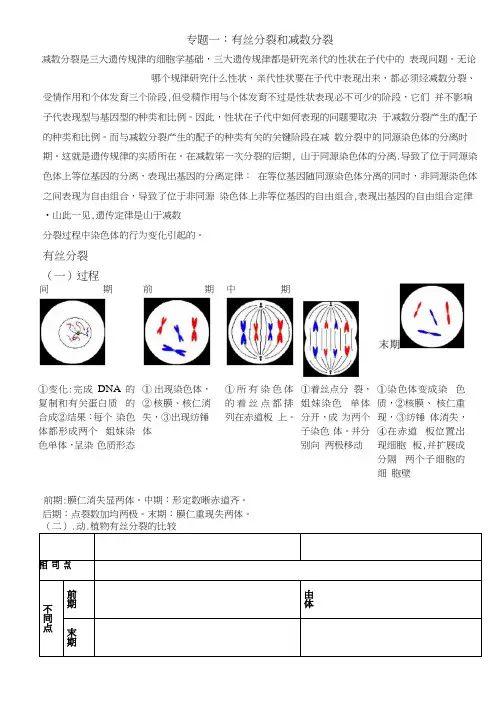 专题一减数分裂和有丝分裂